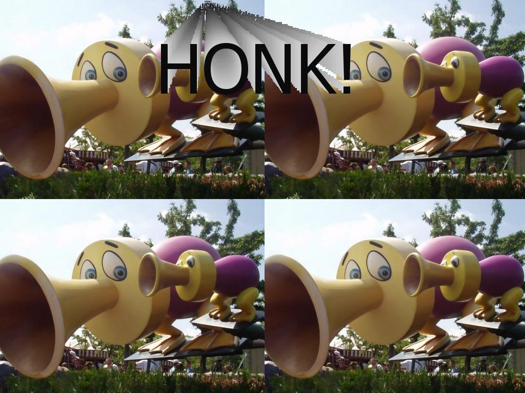 honkduck