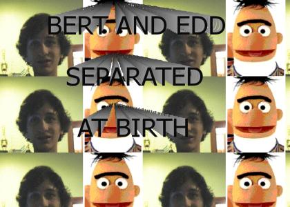Bert and edd, separated at birth