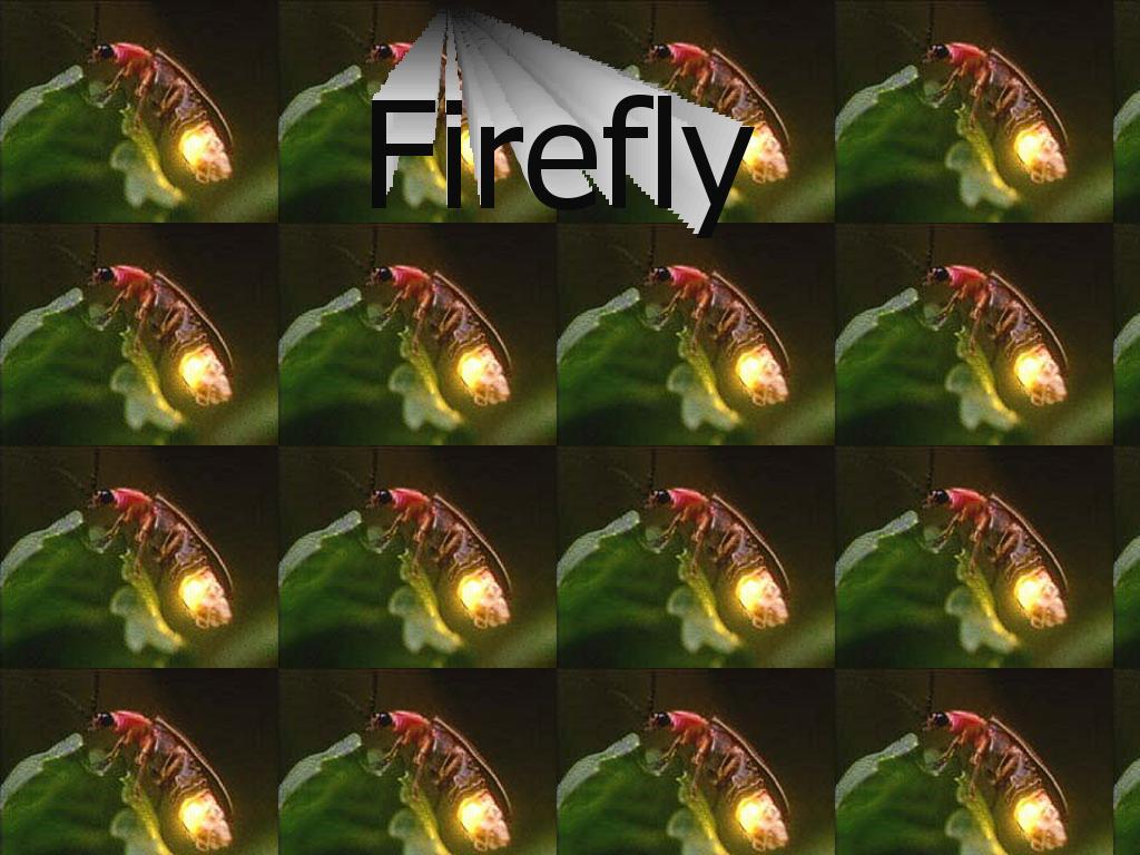 fireflyram
