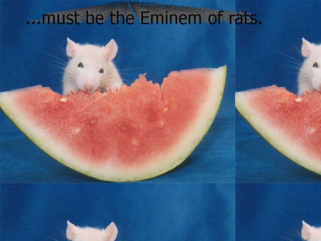 itsawhiterat