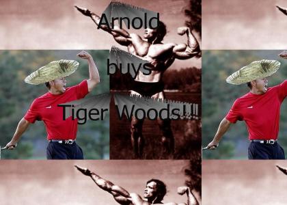 Arnold buys Tiger