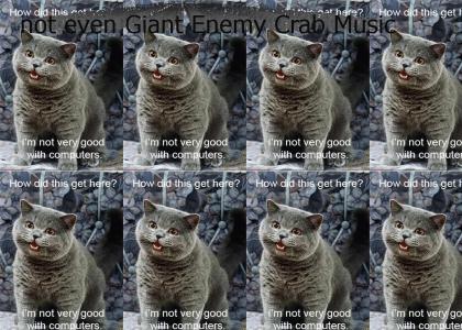 nedm sings the Giant Enemy Crab doesn't change Weakpoint Expressions  song