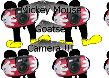Mickey mouse Goatse camera