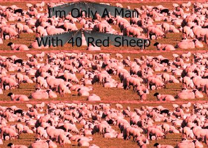 A Man With 40 Red Sheep