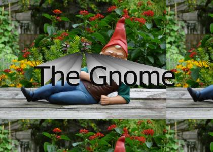 The Gnome