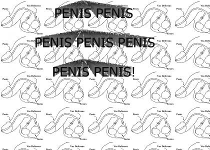 penis penis penis penis penis penis penis!