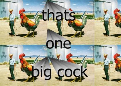 bigcock!11