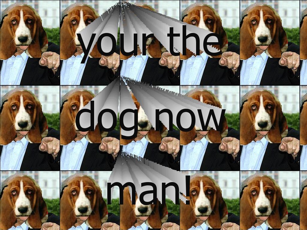 ythedognm