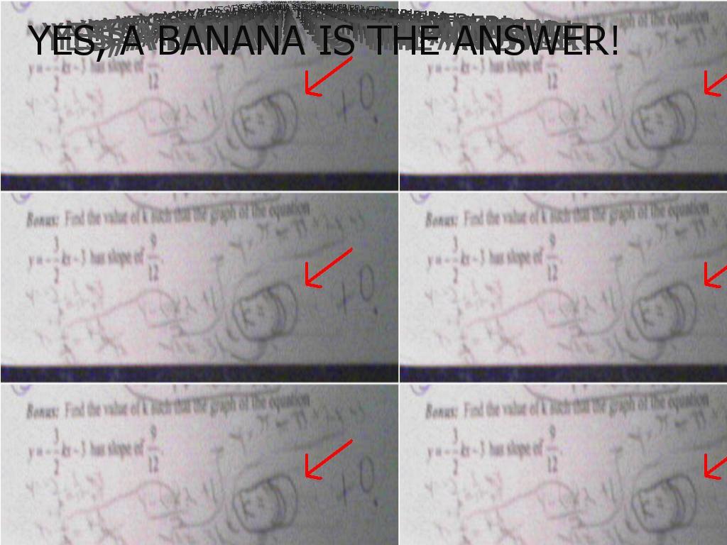 bananatheanswer