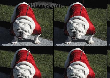 UGA VI Rest in Peace UGA VI Rest in Peace