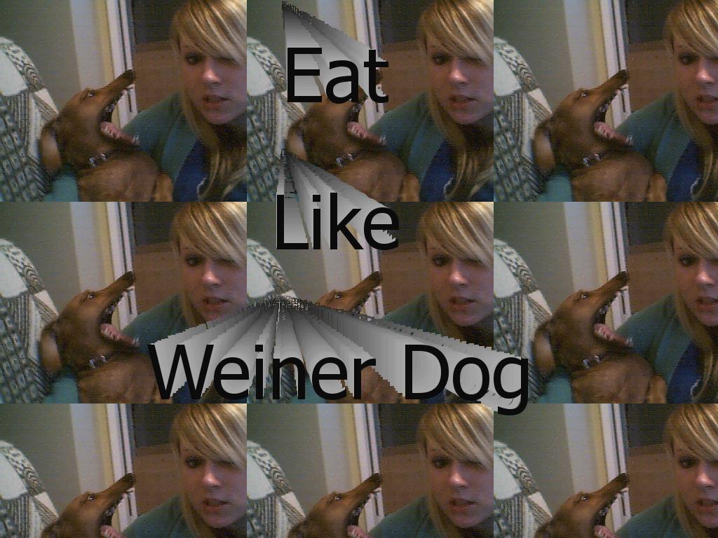 eatlikewienerdog