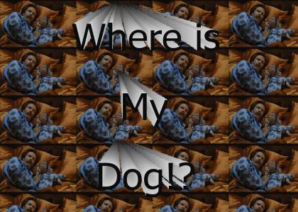 Where Is My Dog!?
