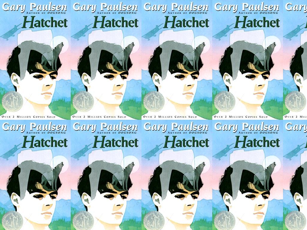 hatchetbook