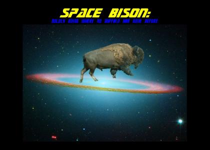 Space Bison: Boldly Going Where No Buffalo Has Gone Before