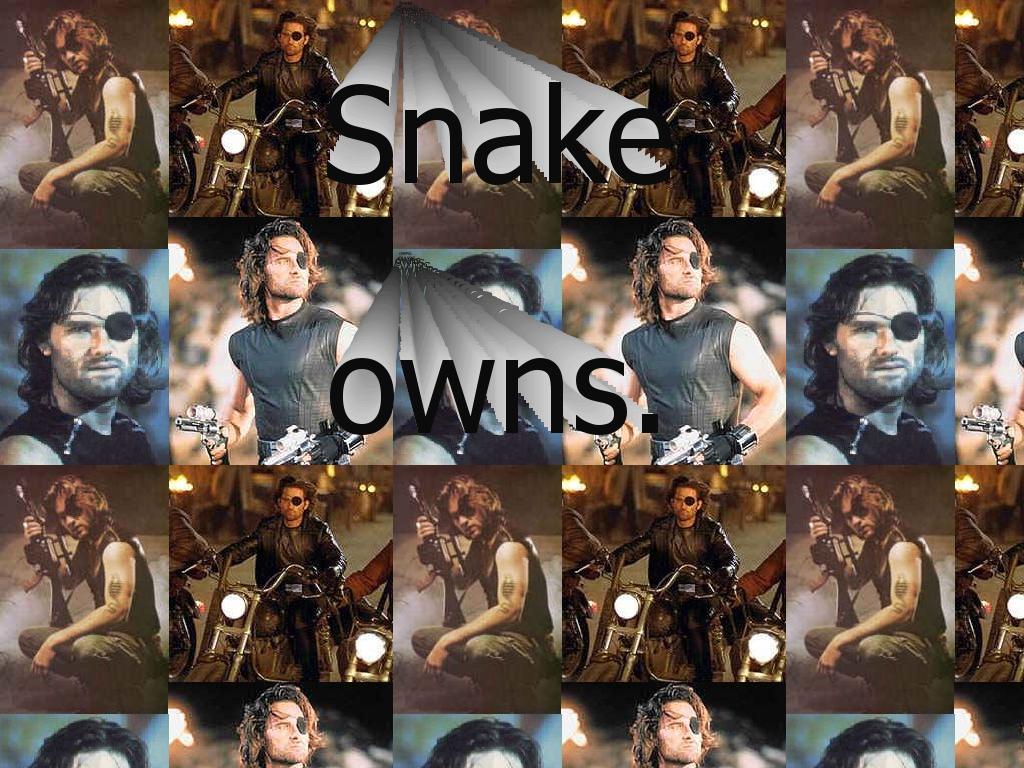 snakeplisskenpwnz