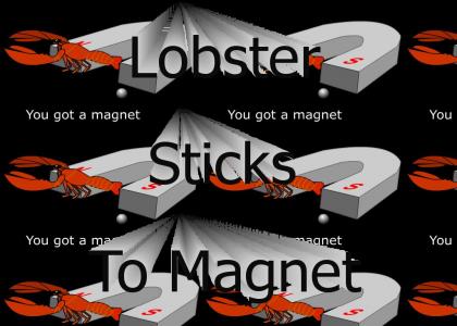 Lobster Stick To Magnet
