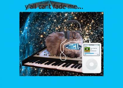 Cat on a keyboard loves 311