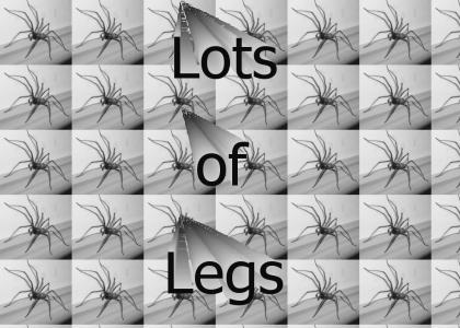 Lots of Legs