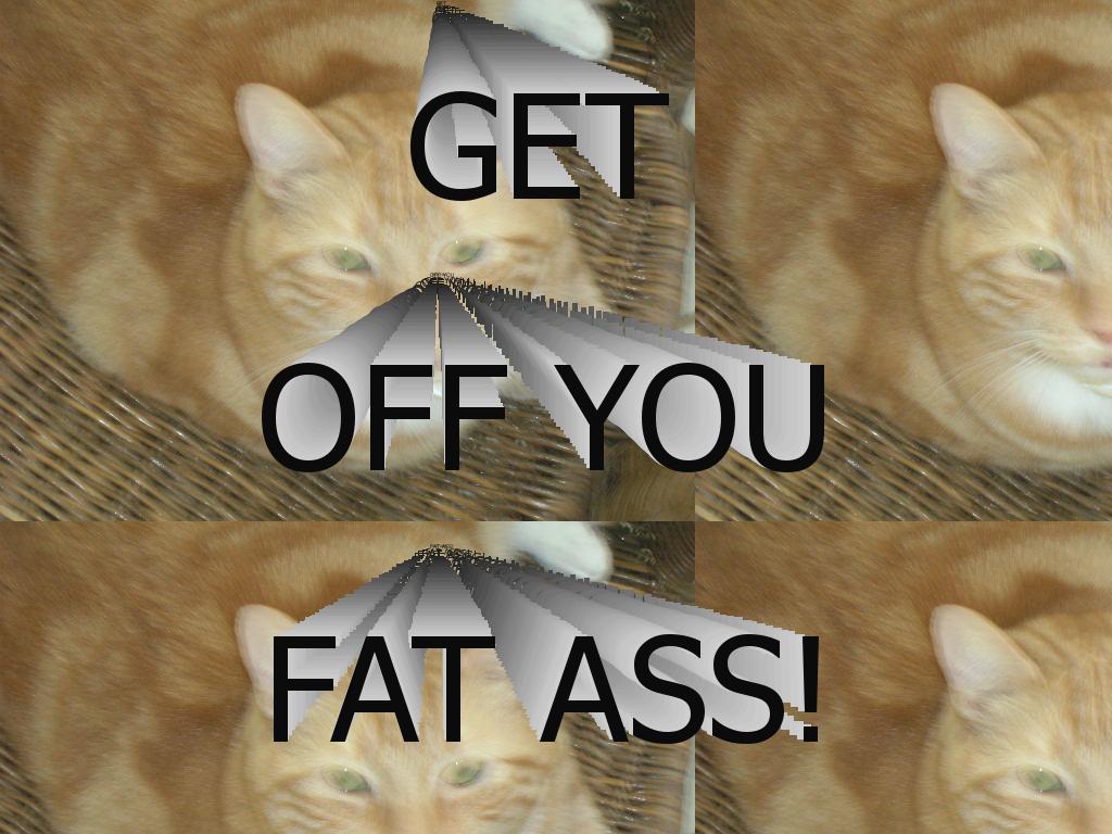 GETOFYOURFATASSCAT