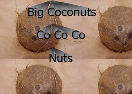 Big Coconuts