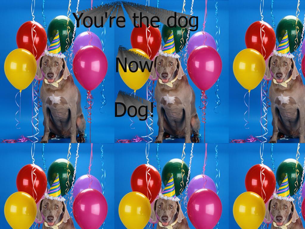 yourethedognowdogtimes2