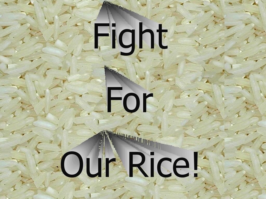ricefight