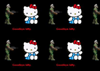 Goodbye Kitty