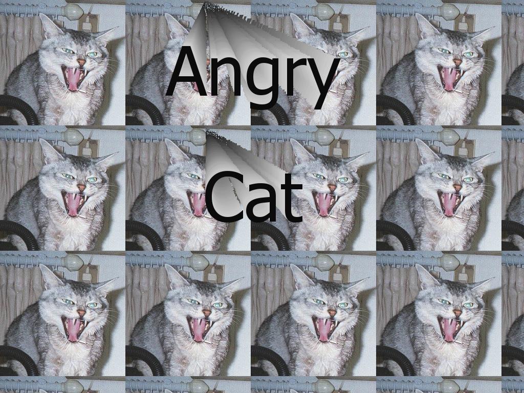 angrynedmcat