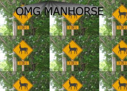 The manhorse