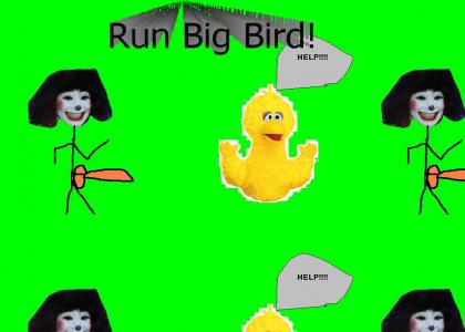 RUN BIG BIRD