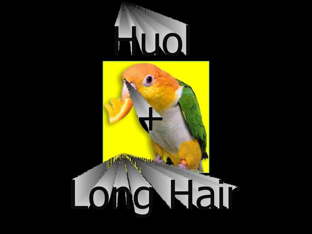 huolandlonghairaregay