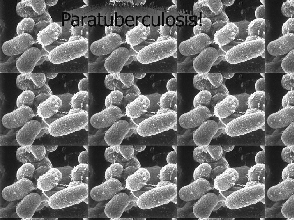 paratuberculosis