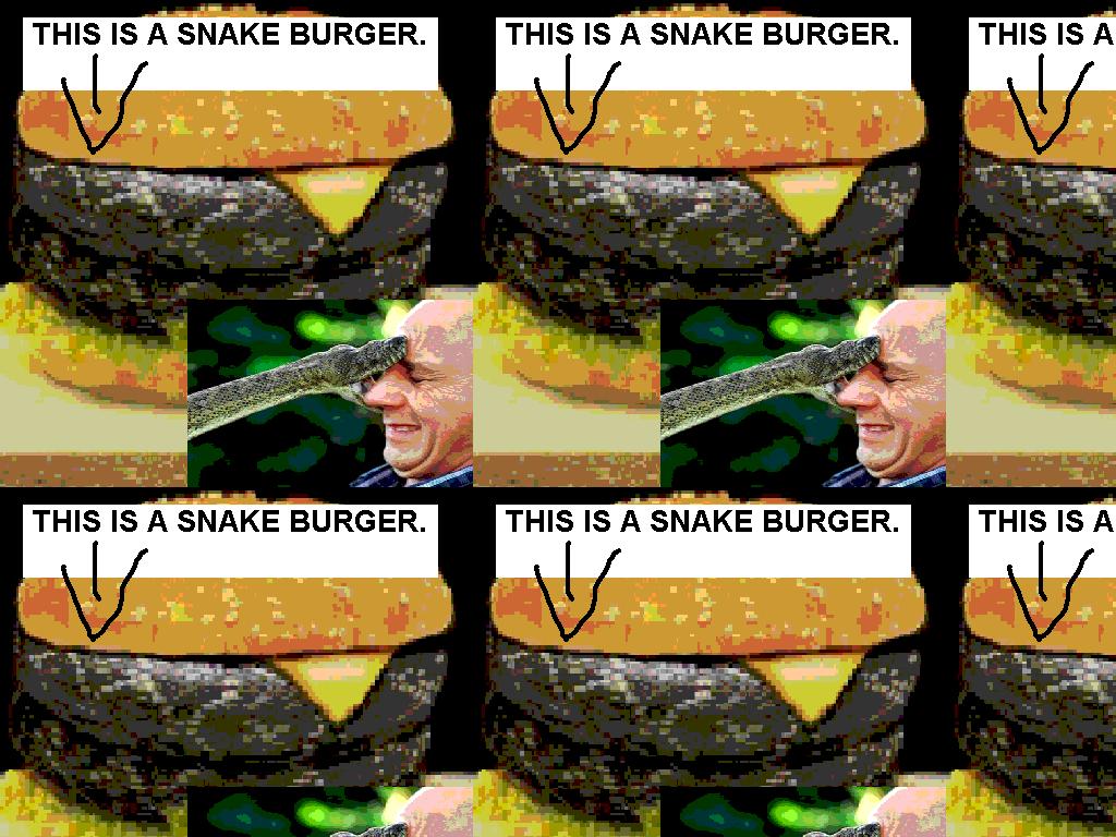 SNAKEBURGERS