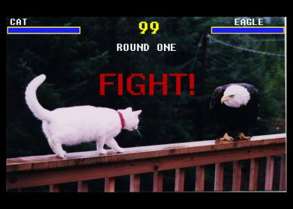 Animal Mortal Kombat