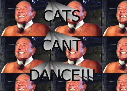 catscantdance