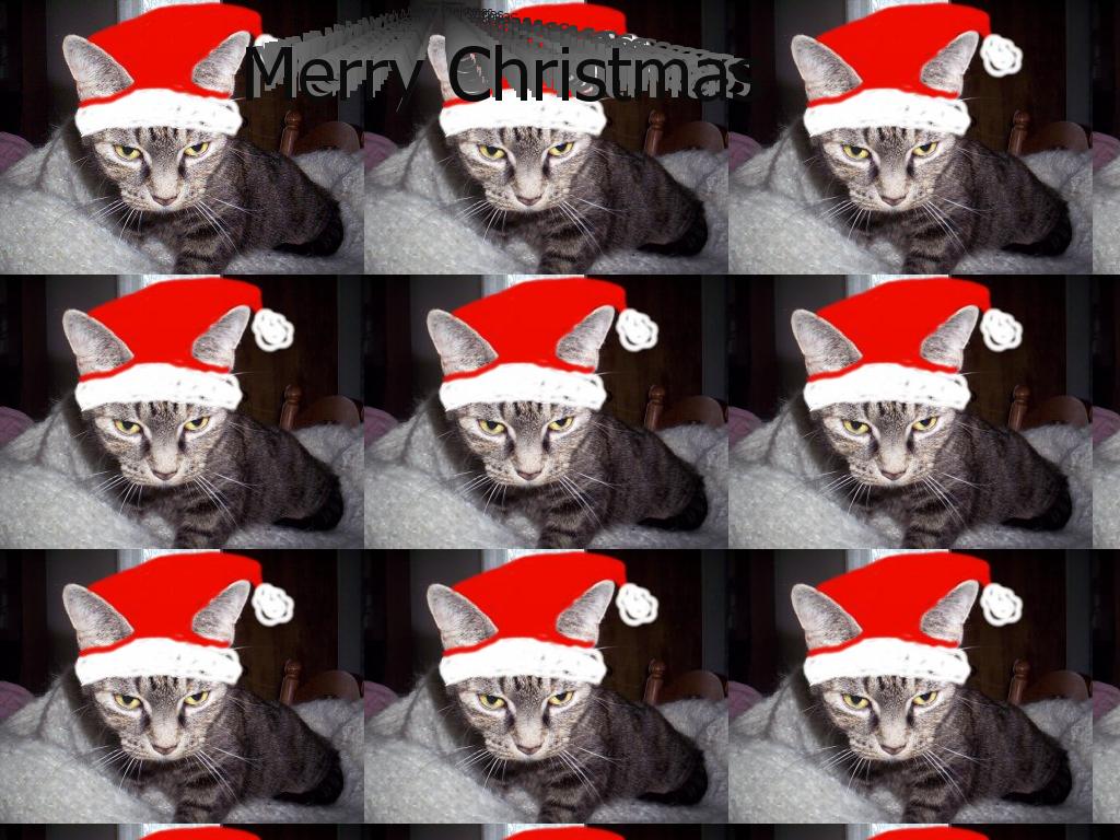 merrycatchristmas