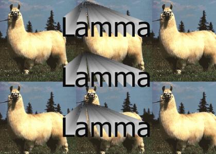 Lamma