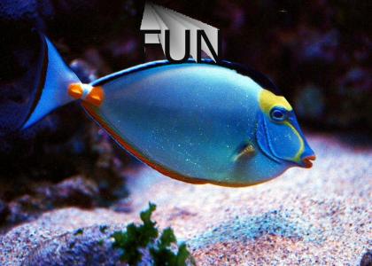 Funfish