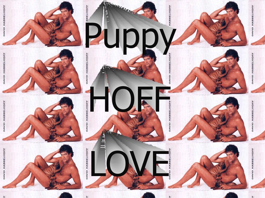 hoffpuppies