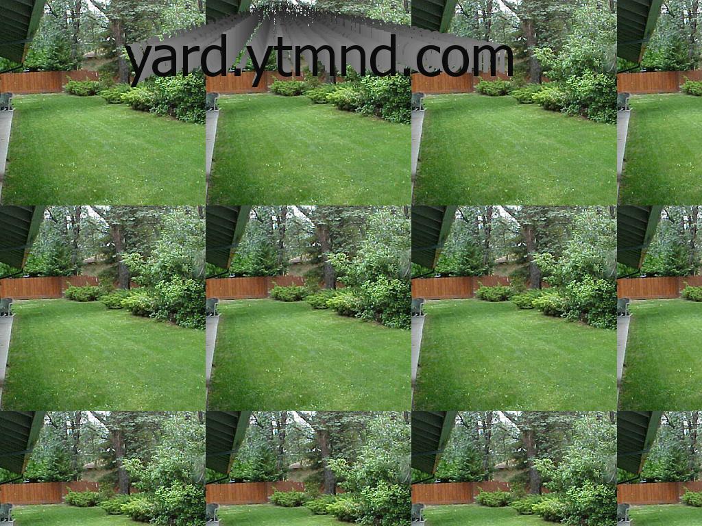 yard