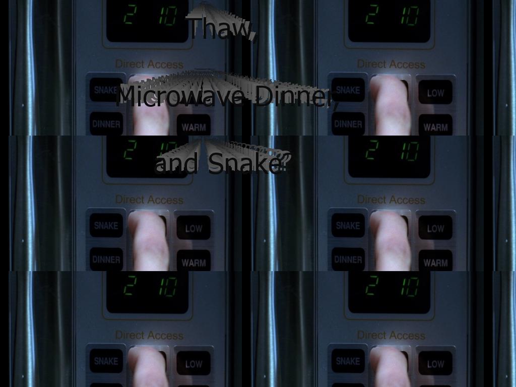 snakesonamicrowave