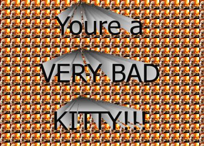 Bad Kitty!!!