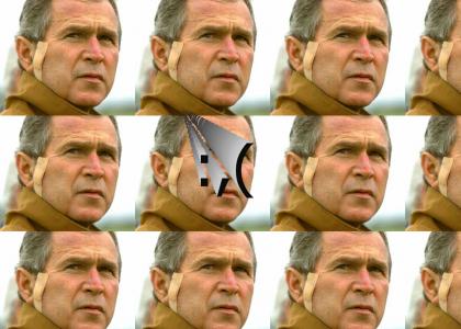 Mr.Bush has a boo boo.