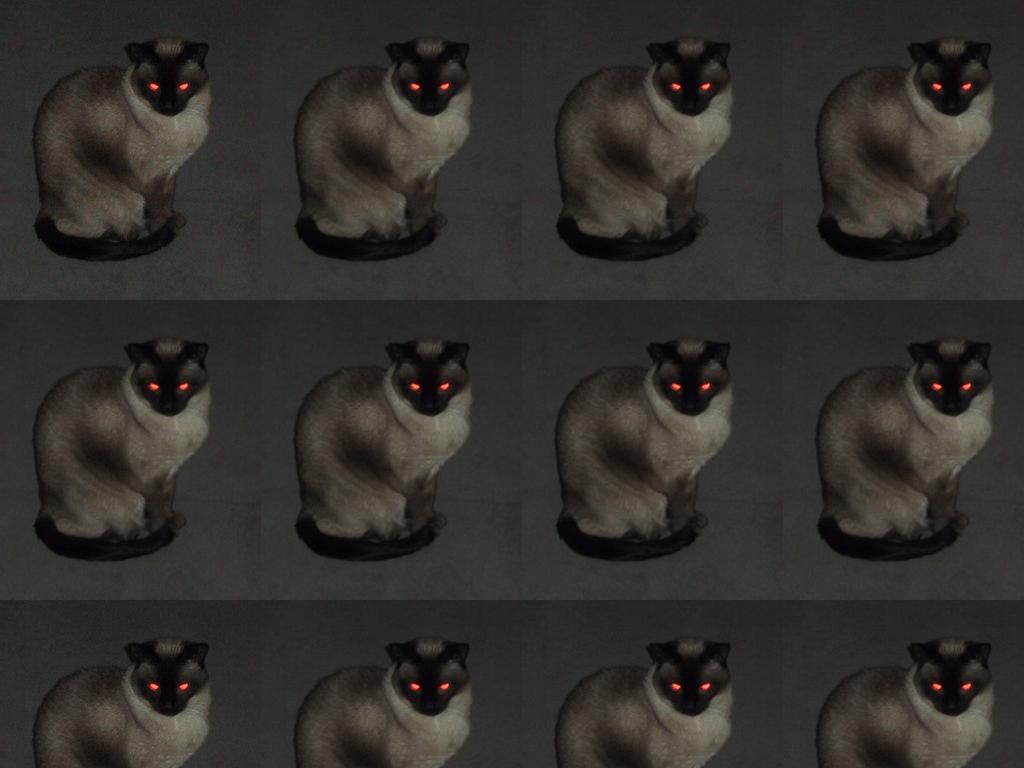 demoncrazycat