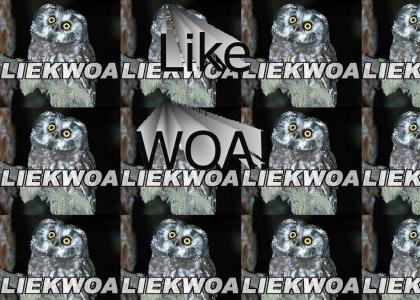 LIEKWOA!