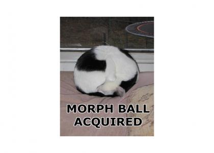MORPH BALL ACQUIRED
