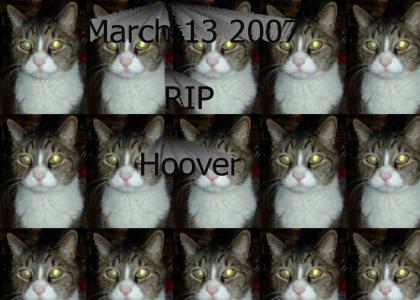 Ill miss you hoover