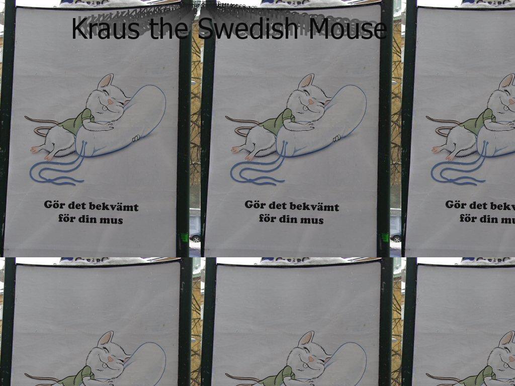 krausmouse