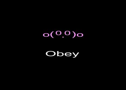 Obey Kirby