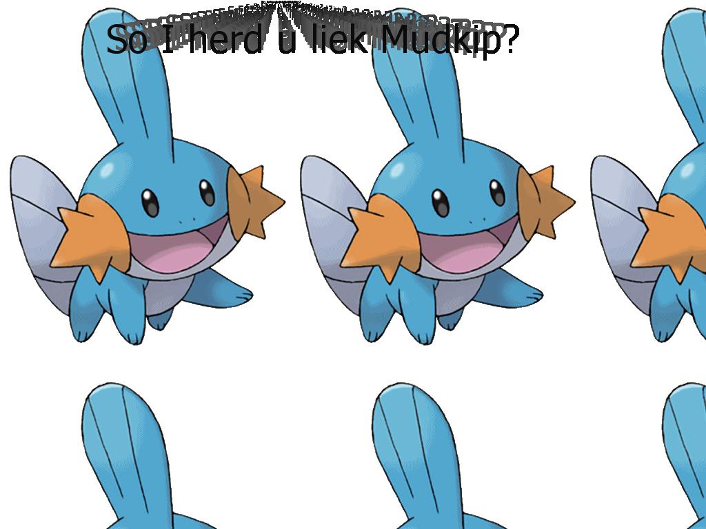 mudkipmudkip